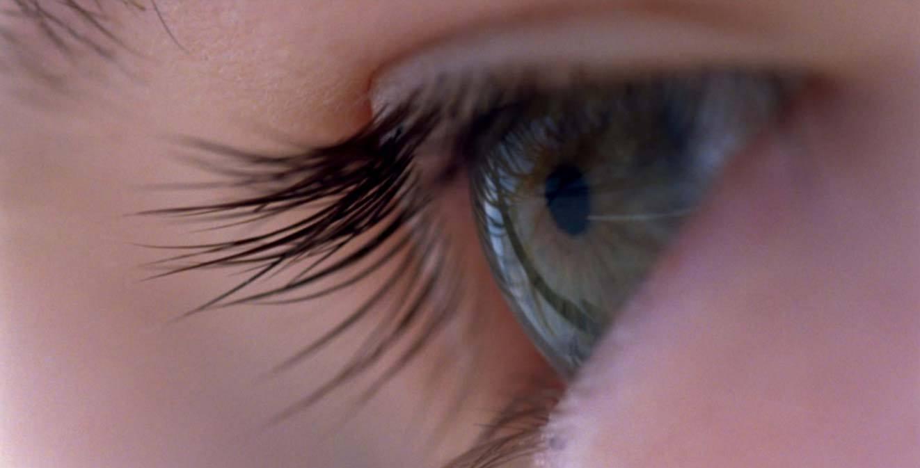 VOYAGE OF TIME