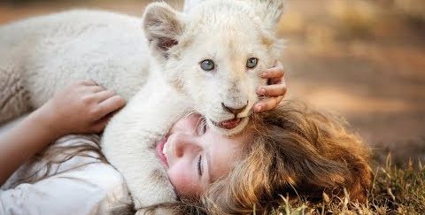 MI MASCOTA ES UN LEÓN