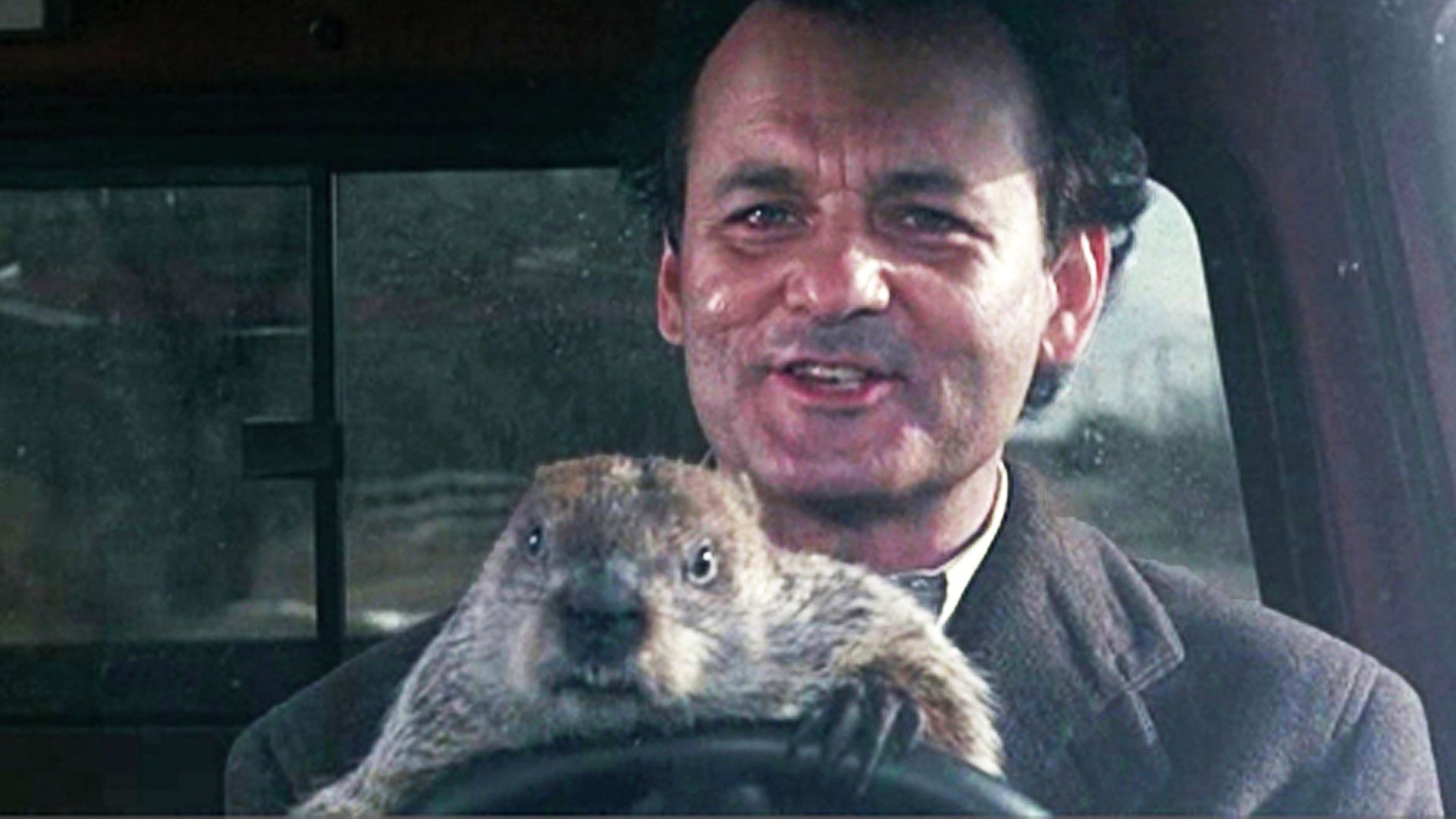 EL DÍA DE LA MARMOTA