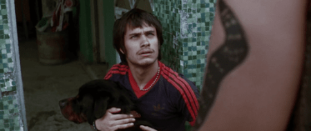 AMORES PERROS | Lumiton