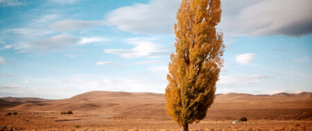 CHUBUT, LIBERTAD Y TIERRA | Lumiton
