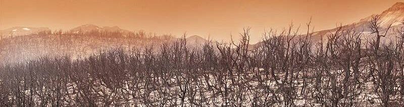 La tierra que arde