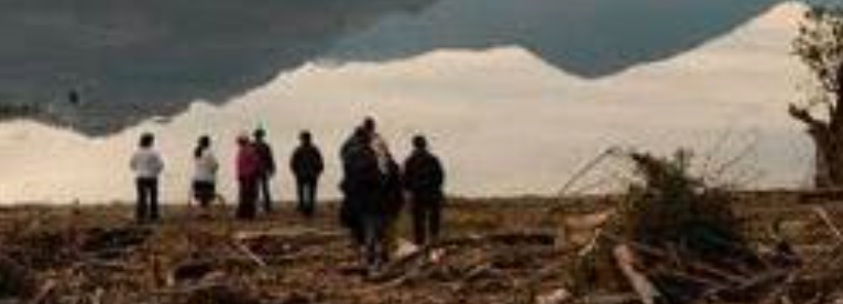 Newen Mapuche, la fuerza de la gente de la tierra