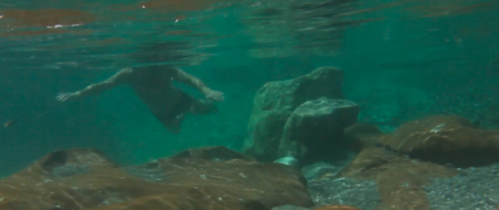Los guardianes del agua. Carnia se rebela. | Lumiton
