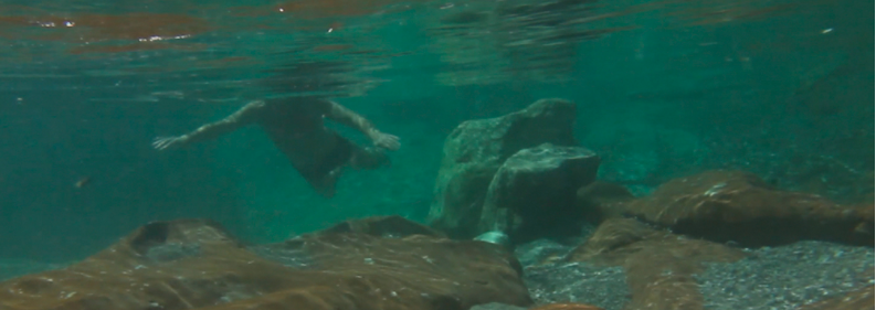 Los guardianes del agua. Carnia se rebela.
