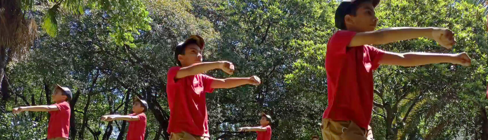 PIXILATION (Video-Clase 6)