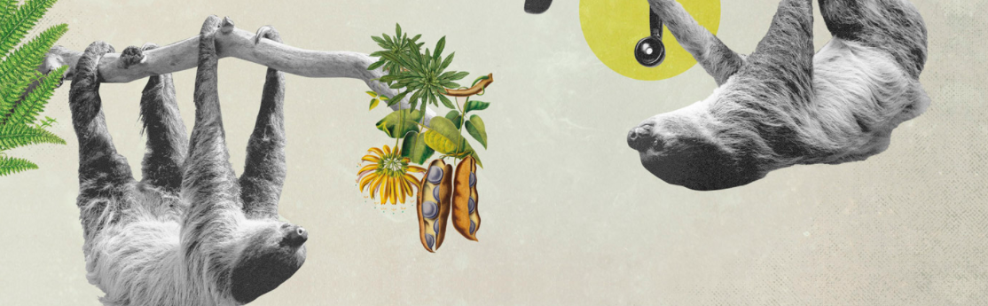 WELCOME TO THE SIXTINCTION 