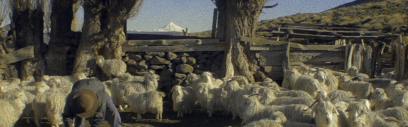 EL SUEÑO DE LA MONTAÑA (MAWIZA ÑI PEWMA) 