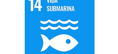 Captura de pantalla 2021-05-28 152946