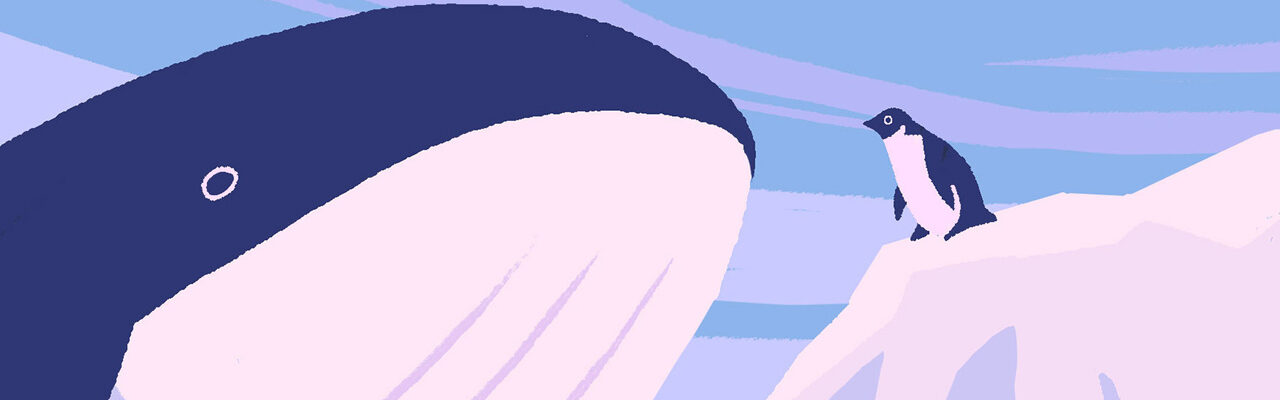 PENGUIN AND WHALE