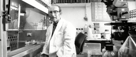 VECINE VECINE | CIENCIA EN FOCO