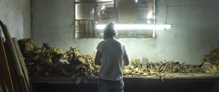 WACAY, MUJERES DEL TABACAL | Lumiton