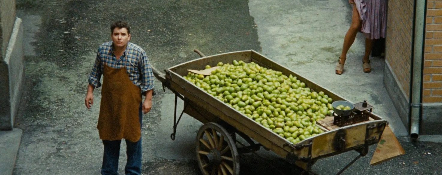 EL MERCADER DE LAS CUATRO ESTACIONES (HÄNDLER DER VIER JAHRESZEITEN)
