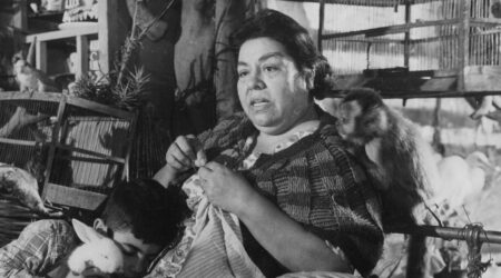 VECINE VECINE | MIRADAS ARGENTINAS EN 35MM: GENERACIÓN DEL 60