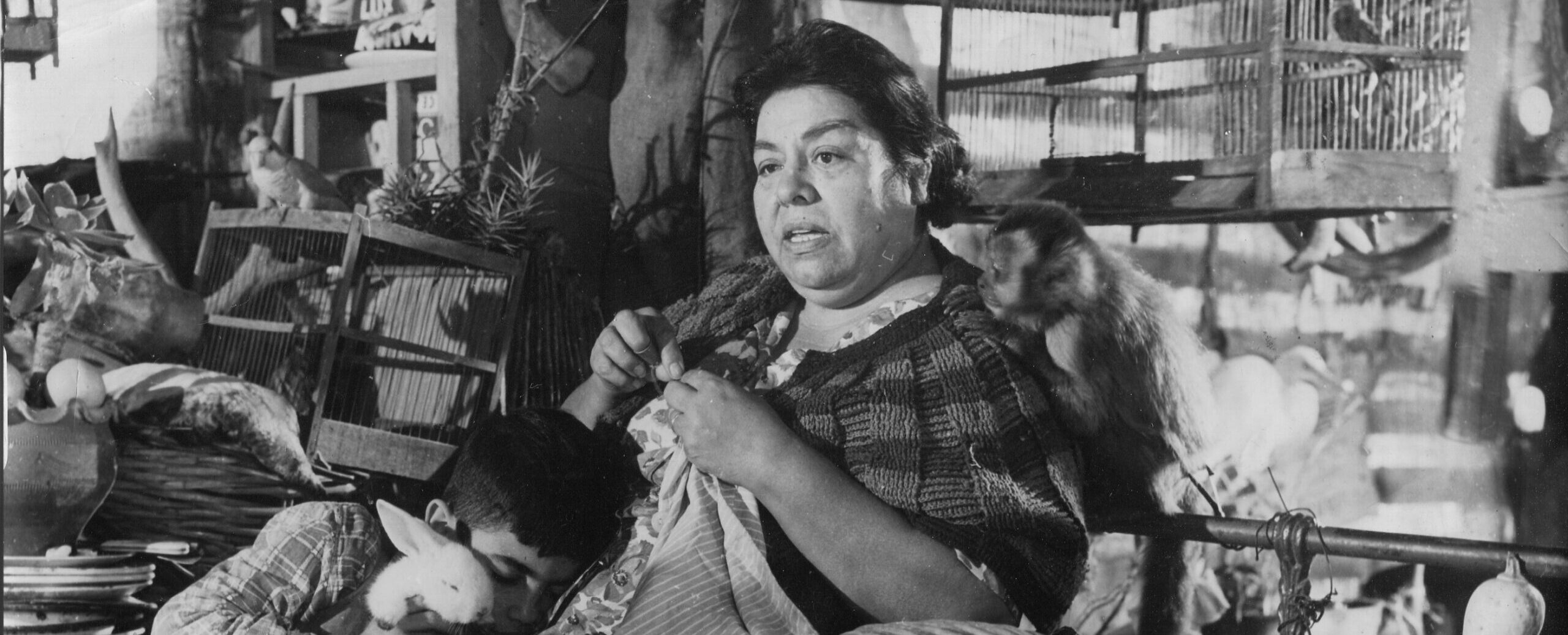 VECINE VECINE | MIRADAS ARGENTINAS EN 35MM: GENERACIÓN DEL 60 | Lumiton