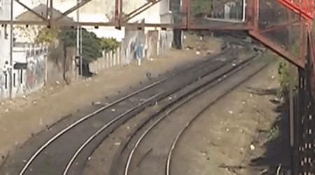 INMIGRANTES EN VICENTE LÓPEZ | Lumiton