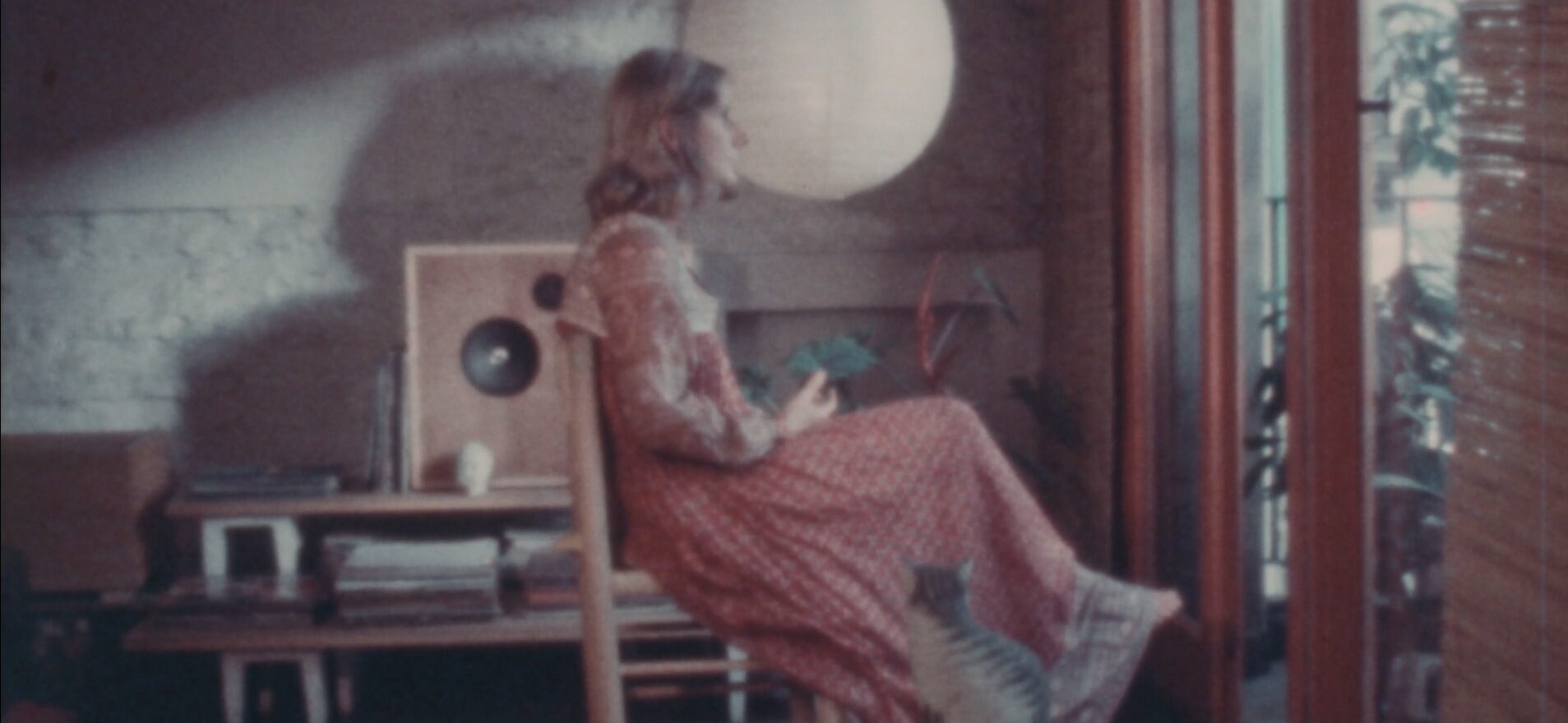 PROGRAMA CORTOMETRAJES NARCISA HIRSCH