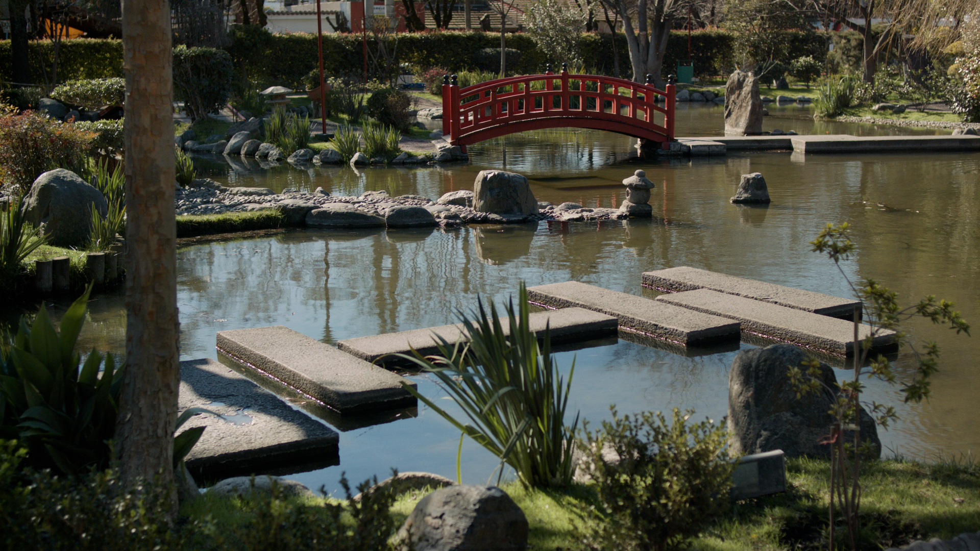 EL AMO DEL JARDÍN