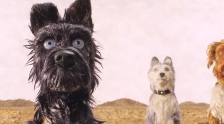 ISLA DE PERROS | Lumiton
