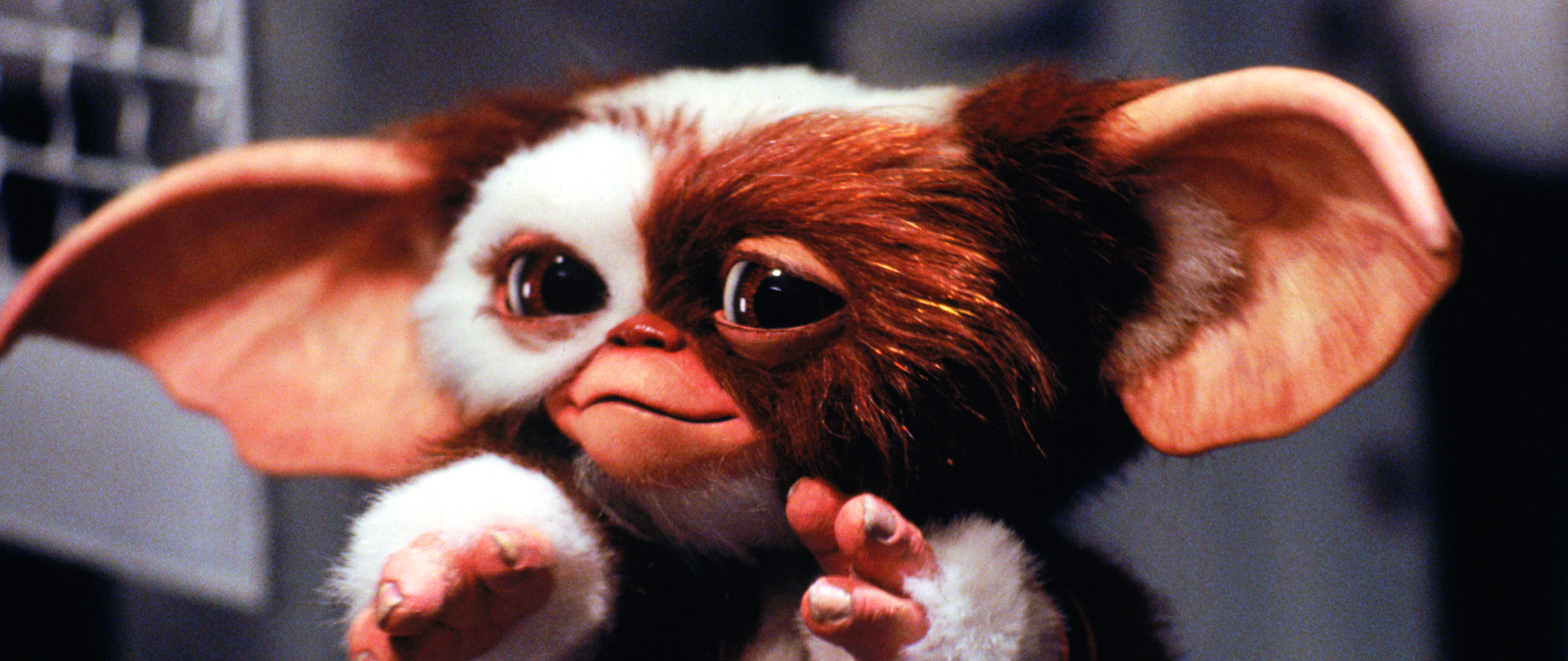 GREMLINS 2: LA NUEVA GENERACIÓN