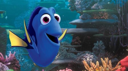 BUSCANDO A DORY | Lumiton