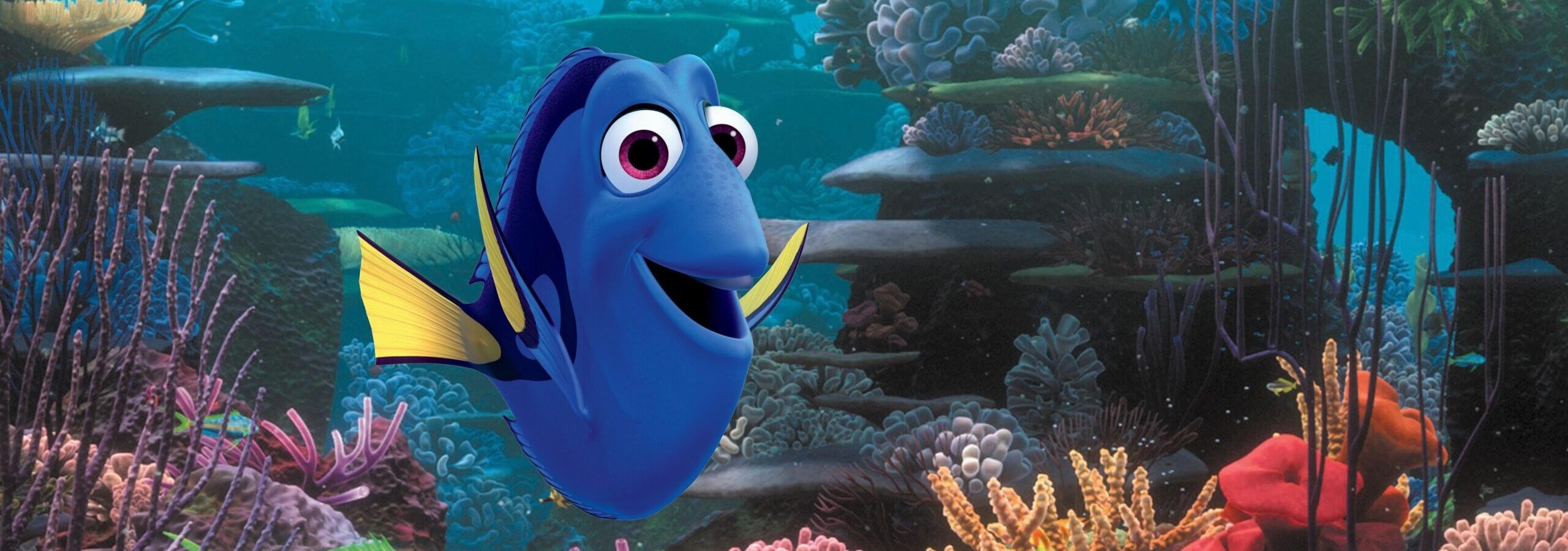 BUSCANDO A DORY